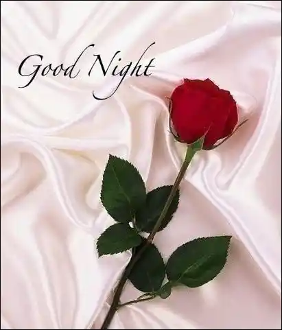 love-romantic-good-night-images