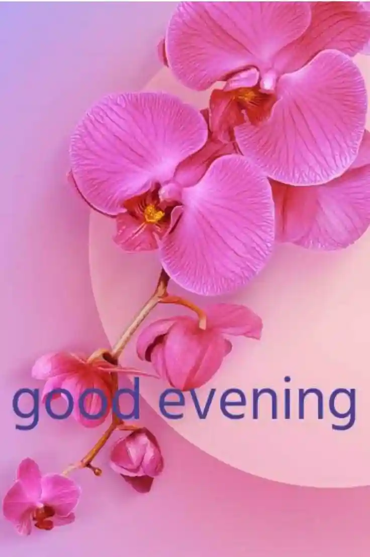 beautiful-good-evening-images