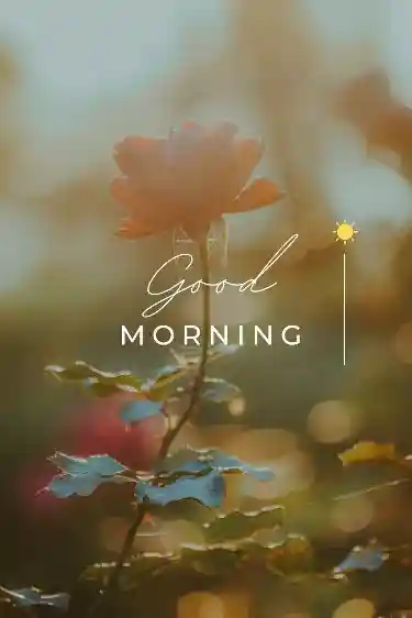 beautiful-good-morning-images