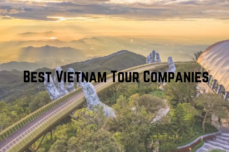 Best Vietnam Tour Companies for Stress-free Travels