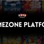 What You’ll Find in the GameZone Platform Games Library