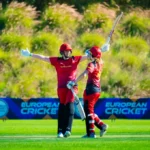 Why Visual Cues Matter More Than People Think During a Live Cricket Match