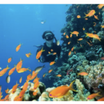 El Gouna's Adventure Scene Sports and Activities for Every Traveler