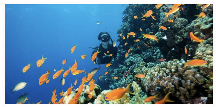 El Gouna's Adventure Scene Sports and Activities for Every Traveler